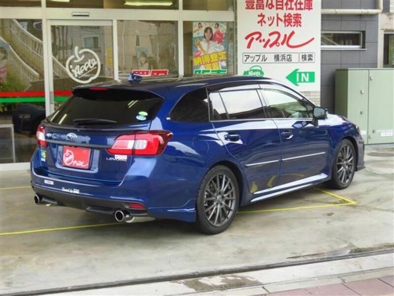 LEVORG