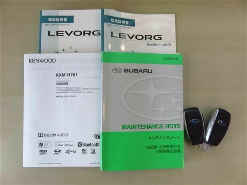 LEVORG