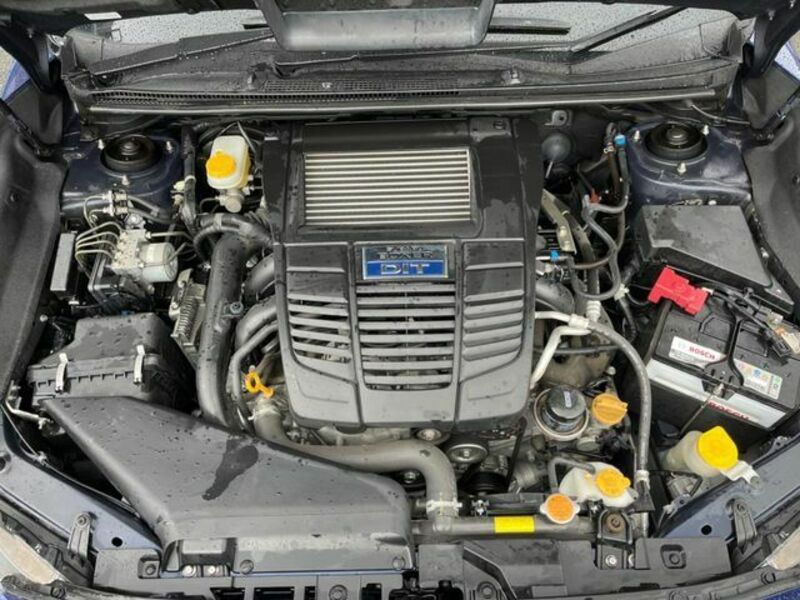 LEVORG