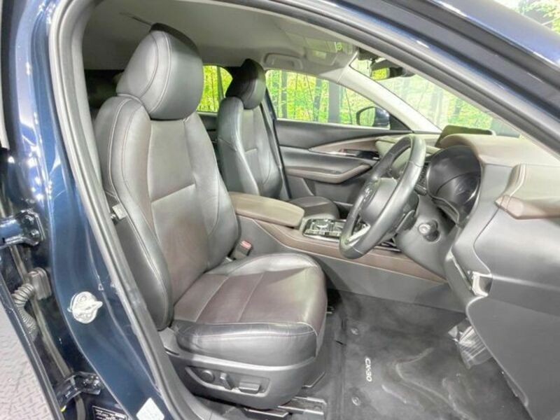 CX-30