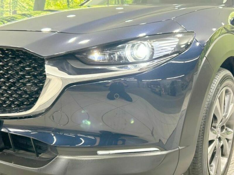 CX-30