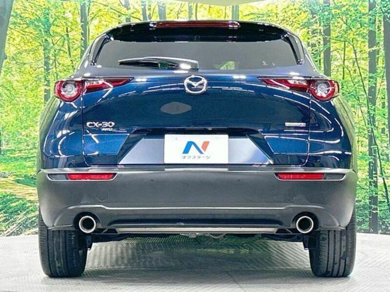 CX-30