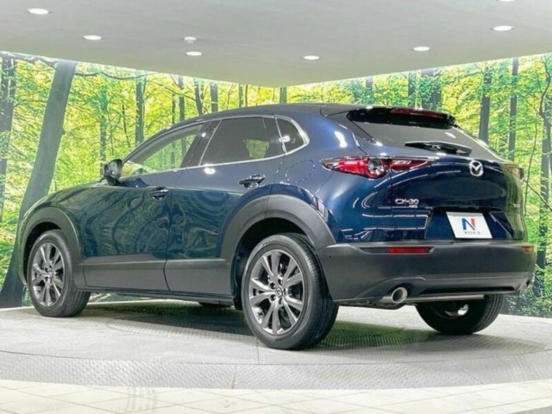 CX-30