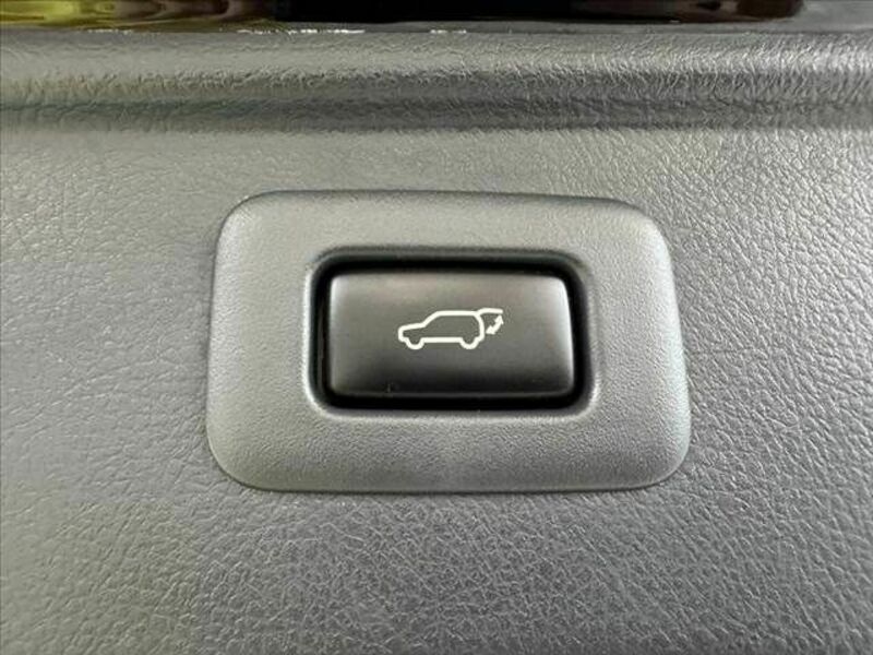 ALPHARD-4