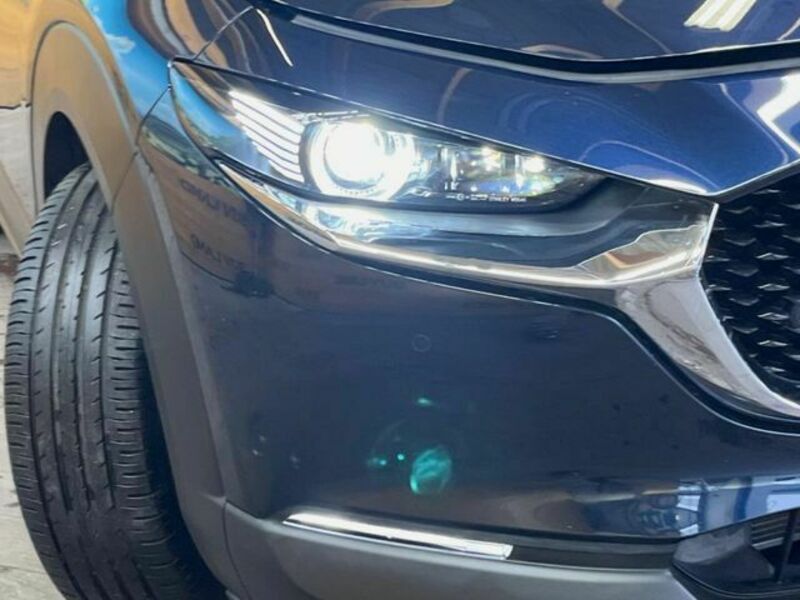 CX-30