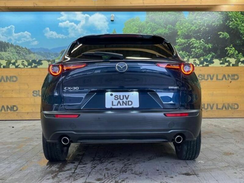 CX-30