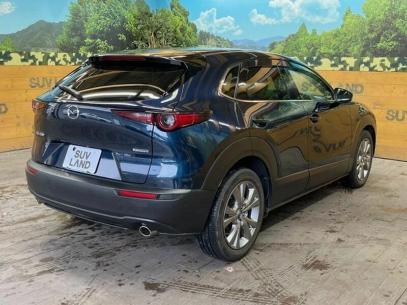CX-30