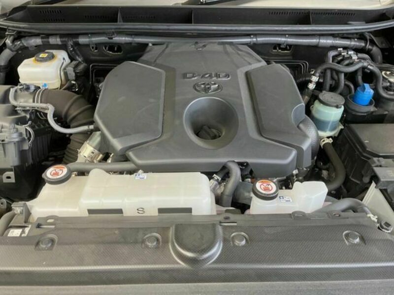 LAND CRUISER PRADO-17
