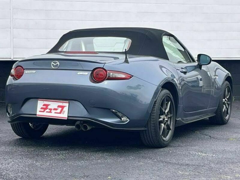 ROADSTER-2