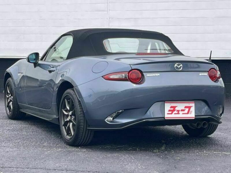 ROADSTER-8