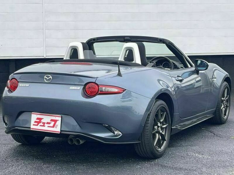ROADSTER-20
