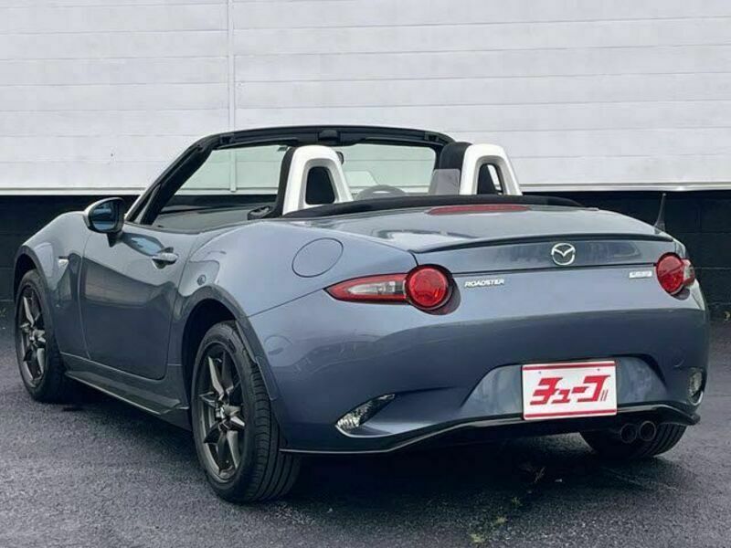 ROADSTER-21