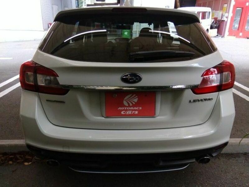 LEVORG