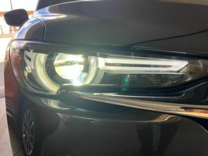 CX-8