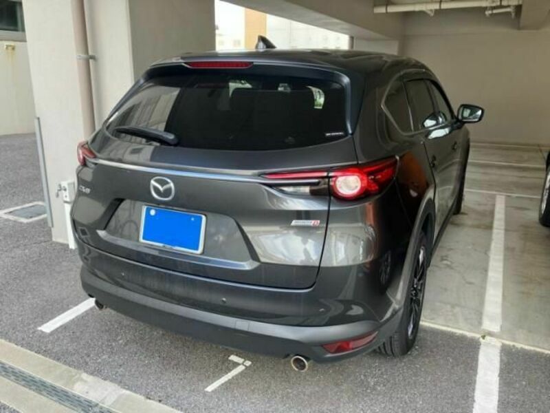 CX-8