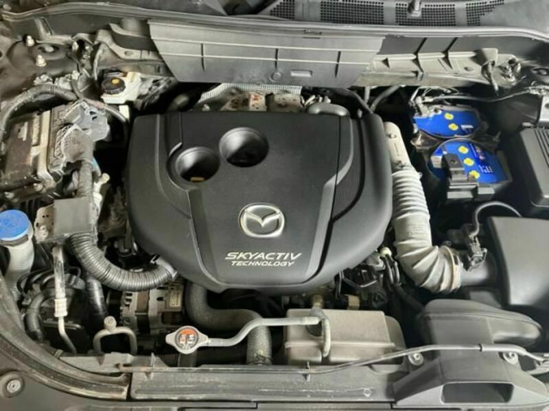 CX-8
