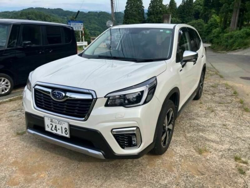FORESTER