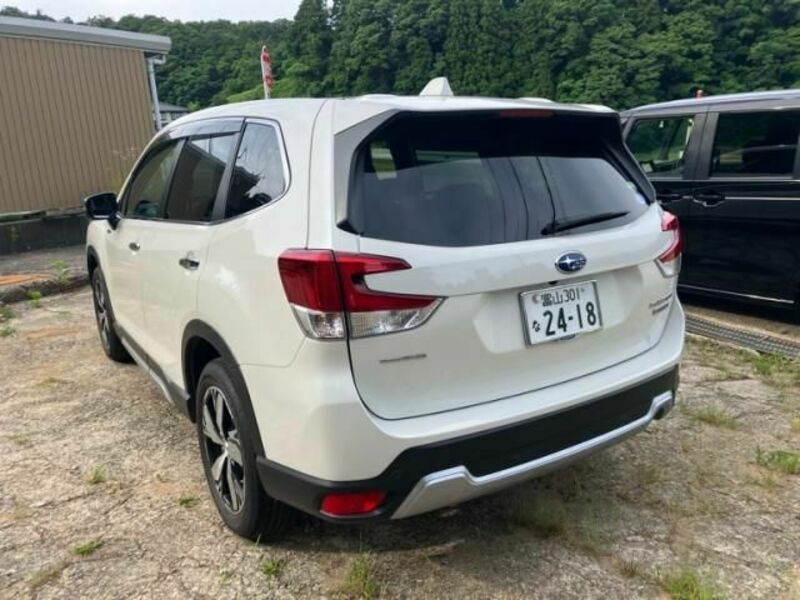 FORESTER