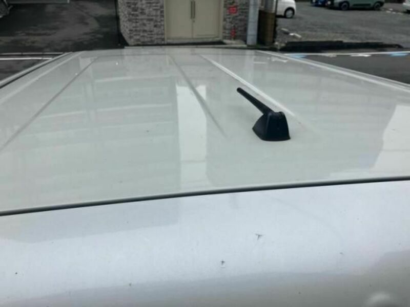 COROLLA RUMION