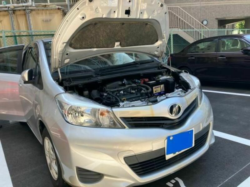 VITZ-0