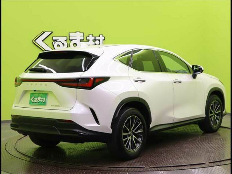 NX