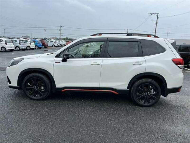 FORESTER