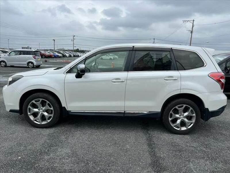 FORESTER