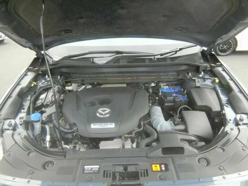 CX-8