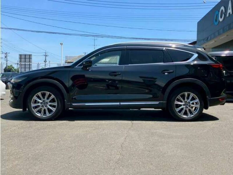 CX-8