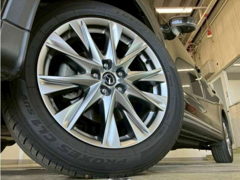 CX-8