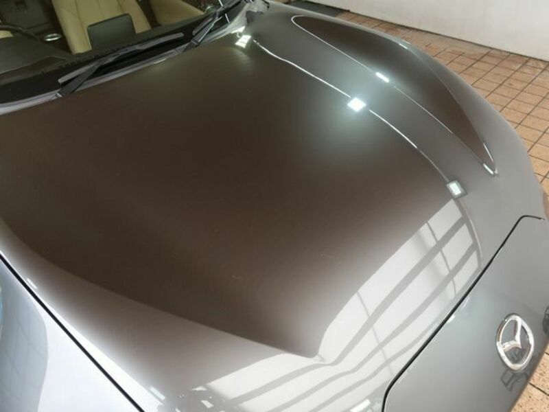 ROADSTER RF