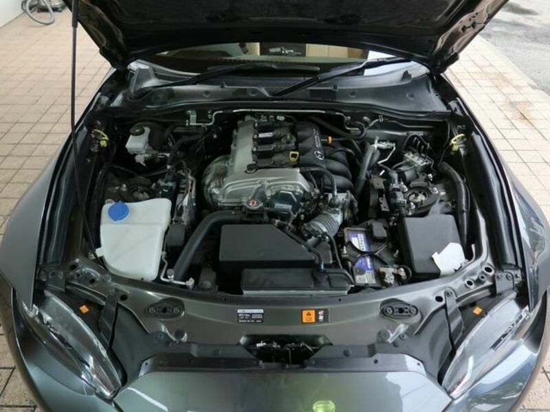 ROADSTER RF