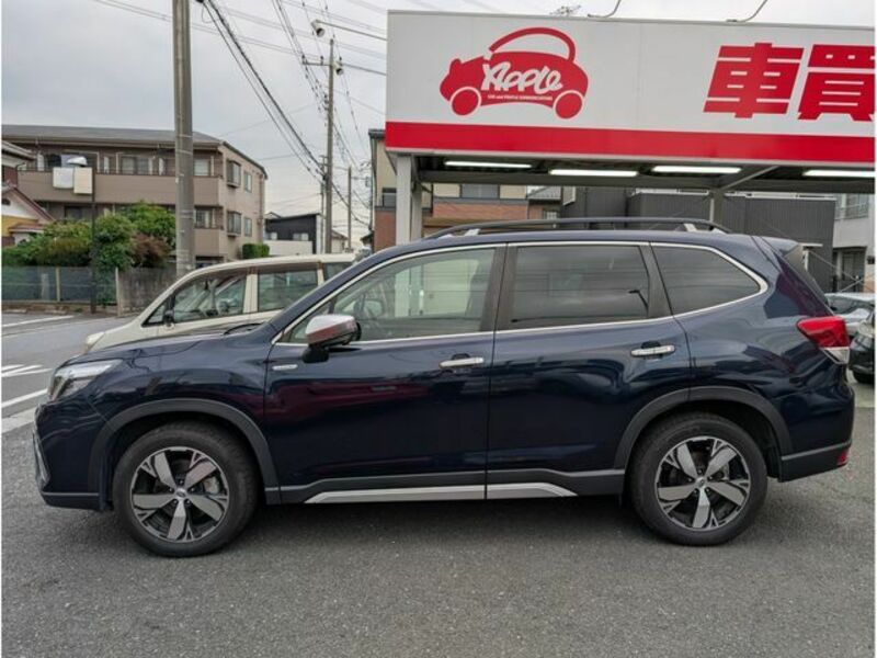 FORESTER