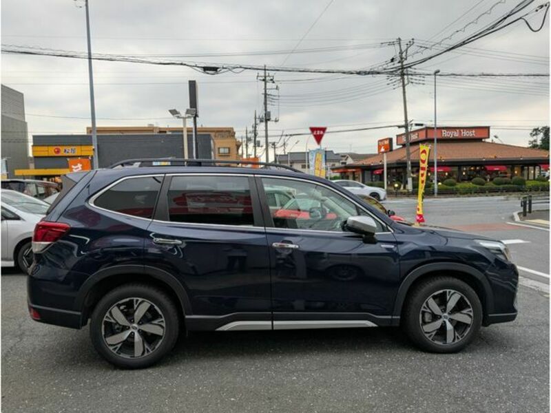 FORESTER