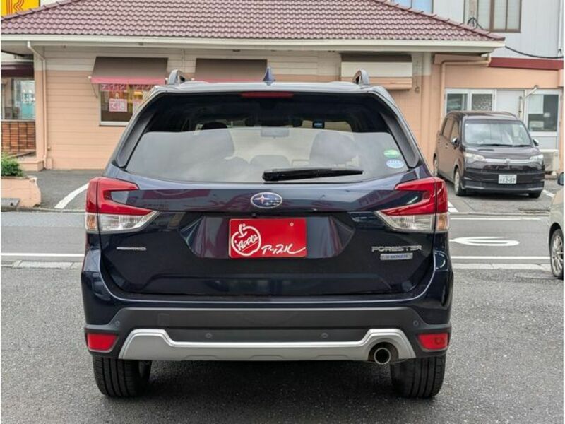 FORESTER