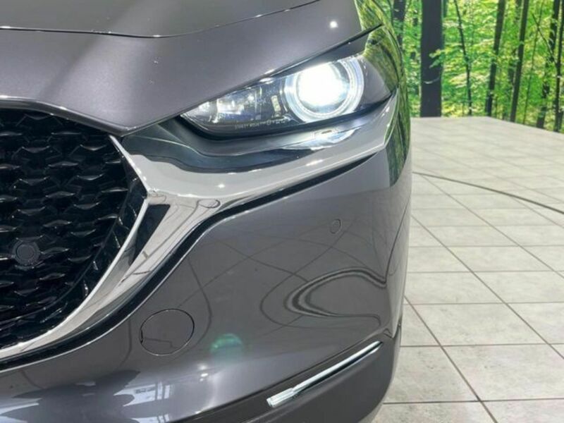 CX-30