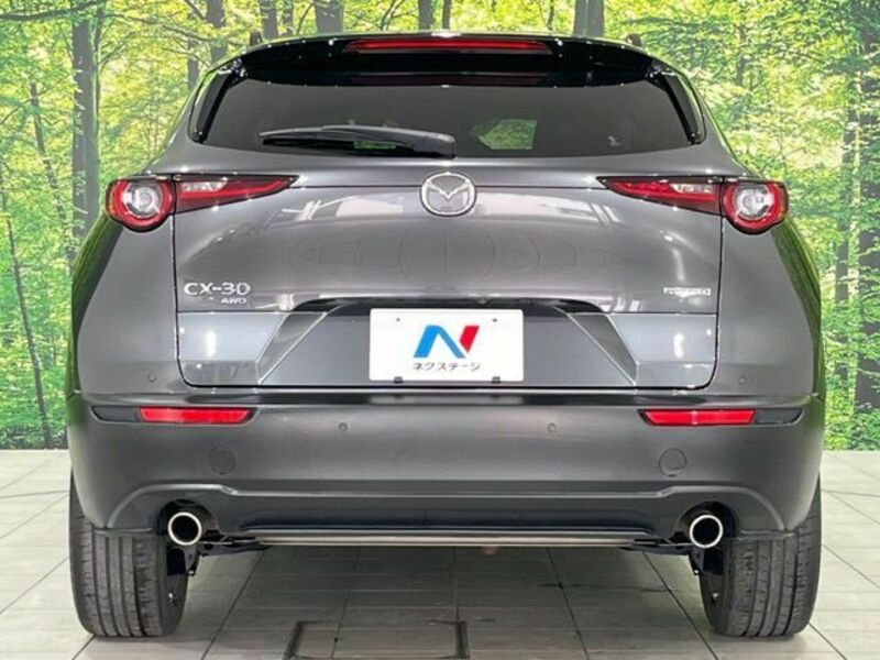 CX-30