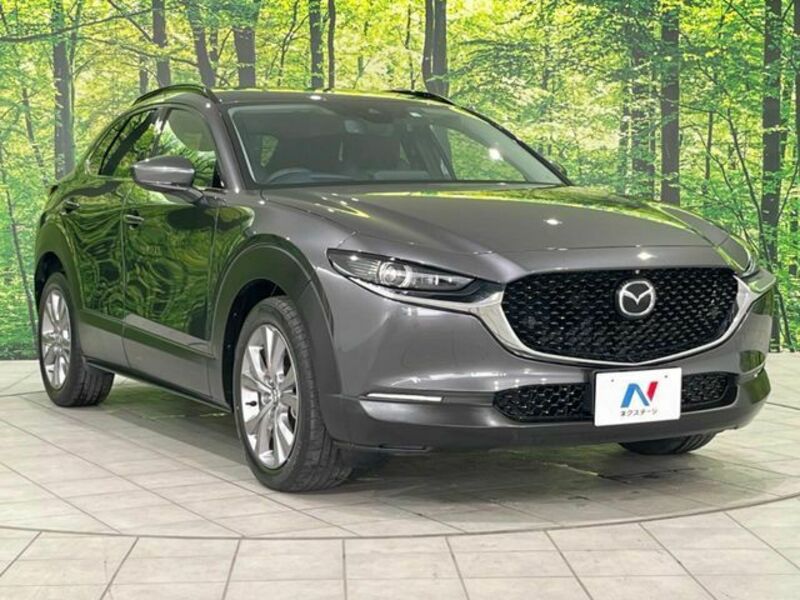 CX-30