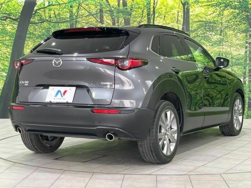 CX-30