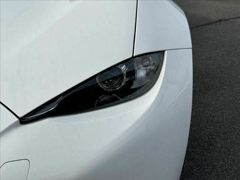 ROADSTER