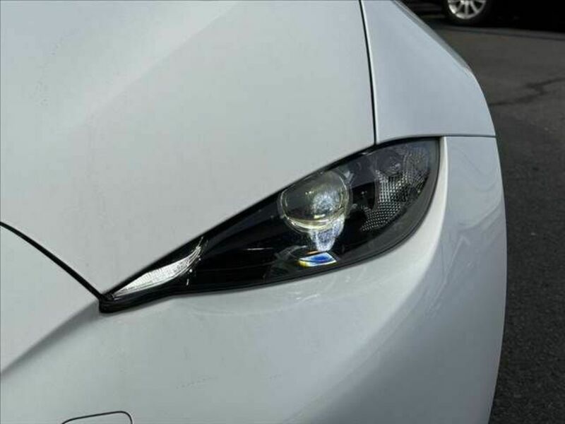 ROADSTER