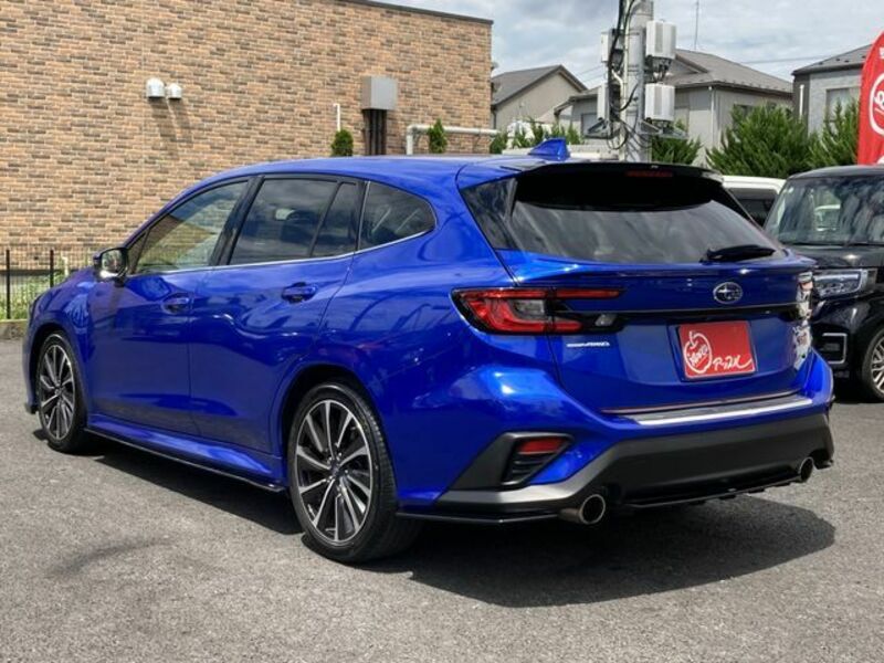 LEVORG