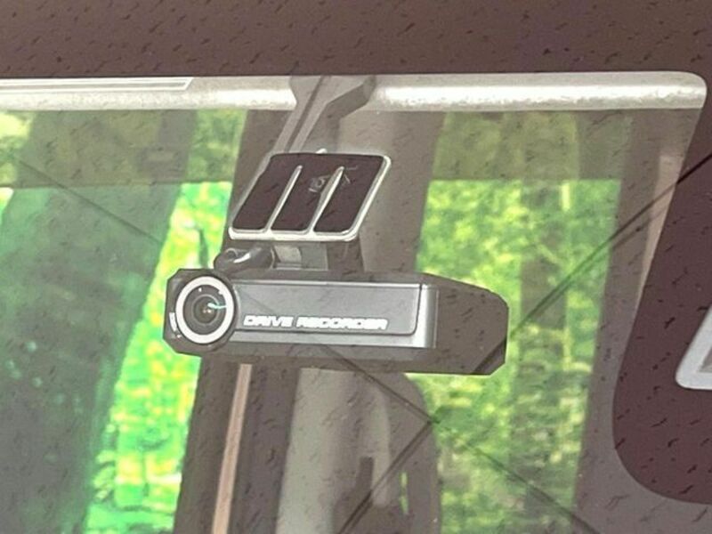 DAYZ ROOX