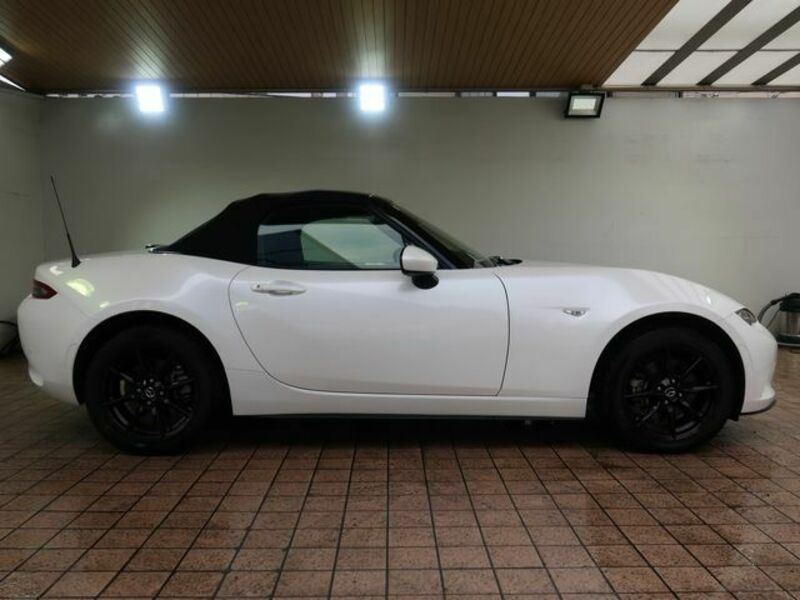 ROADSTER