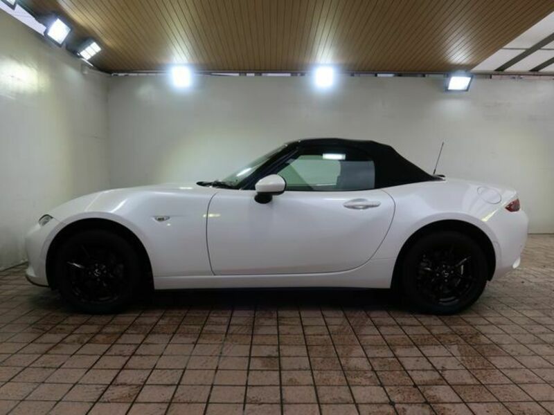 ROADSTER