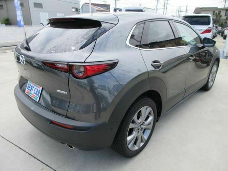 CX-30