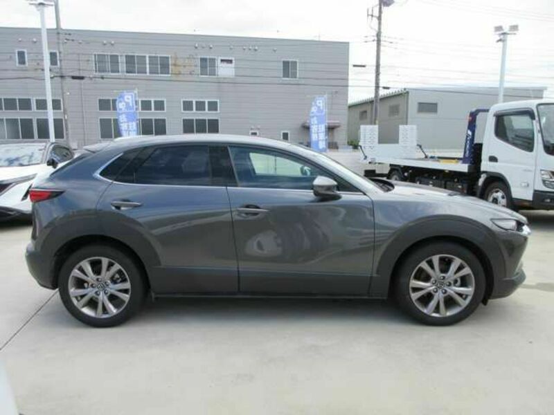 CX-30