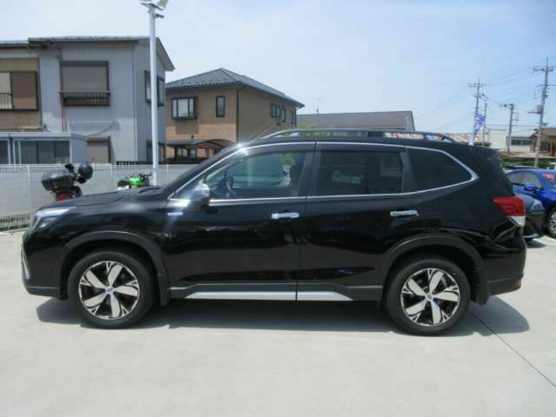 FORESTER