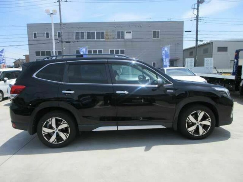 FORESTER
