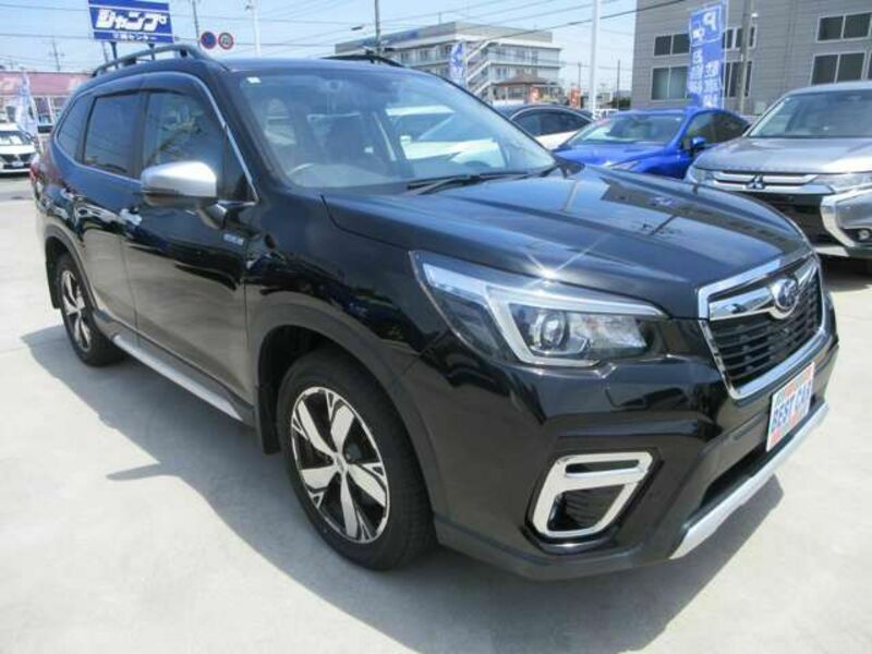 FORESTER